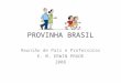 PROVINHA BRASIL Reunião de Pais e Professoras E. M. ERWIN PRADE 2008