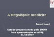 A Megalópole Brasileira André Urani Estudo proporcionado pela LIGHT Para apresentação na ACRJ, 11/12/2007
