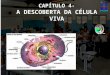 CAPÍTULO 4- A DESCOBERTA DA CÉLULA VIVA. As células podem ser categorizadas por tamanho: –Microscópicas (< 0,1 mm). –Macroscópicas (> 0,1 mm): podem ser