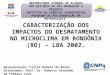 Apresentação: Cintia Rabelo da Rocha Orientador: Prof. Dr. Roberto Fernando da Fonseca Lyra CARACTERIZAÇÃO DOS IMPACTOS DO DESMATAMENTO NO MICROCLIMA EM