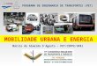 PROGRAMA DE ENGENHARIA DE TRANSPORTES (PET) MOBILIDADE URBANA E ENERGIA Márcio de Almeida D´Agosto – PET/COPPE/UFRJ