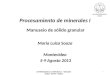 Procesamiento de minerales I Manuseio de sólido granular Maria Luiza Souza Montevideo 5-9 Agosto 2013 1 UNIVERSIDADE DE LA REPUBLICA – URUGUAY UFRGS -