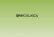 EMBRIOLOGIA. Embriologia – ciência que estuda o desenvolvimento embrionário. Fecundação – fusão do pronúcleo masculino com o feminino. Após a fecundação,