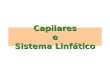 Capilares e Sistema Linfático Organização da aula 1.Capilares a.microcirculação b.trocas nos tecidos c.auto-regulação do fluxo tecidual 2.Sistema Linfático