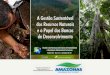 17 Países Megadiversos Fonte: Scientific American Brasil, Ed. 39, 2010 65% da Biodiversidade do planeta 1- Brasil 2- Colômbia 3- Indonésia 4- China 5-