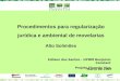 Edilson dos Santos – UPMM Benjamin Constant Projeto Floresta Viva Março de 2007 Procedimentos para regularização jurídica e ambiental de movelarias Alto