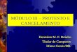 MÓDULO III – PROTESTO E CANCELAMENTO Hermínia M. F. Bráulio Titular de Campestre Minas Gerais/BR