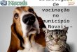Estratégias de vacinação no município de Novais – SP, 2014