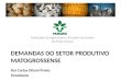 DEMANDAS DO SETOR PRODUTIVO MATOGROSSENSE Federação da Agricultura e Pecuária do Estado de Mato Grosso Rui Carlos Ottoni Prado Presidente