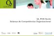QI_PME Norte Balanço de Competências Organizacional