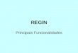 REGIN Principais Funcionalidades. Viabilidade - Diagrama do Processo