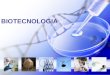 BIOTECNOLOGIA. Multidisciplinar - Engenharia - Genética Plantas e animais com características desejáveis, cultura de células e de tecidos, marcadores