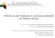 Influência da Vitamina A e da Sazonalidade no Sêmen Suíno USP – UNIVERSIDADE DE SÃO PAULO IME - INSTITUTO DE MATEMÁTICA E ESTATÍSTICA Pesquisadora: Simone