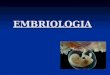 EMBRIOLOGIA. Introdução A embriologia estuda as modificações que ocorrem nos seres vivos desde a formação da célula ovo até a completa formação do embrião