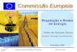 Direcção Geral de Energia e TransporteLisboa 21.03.02 Commissão Europeia Regulação e Redes de Energia Pedro de Sampaio Nunes Director: Energia Convencional