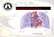 Patologia Vascular Pulmonar M. Alcide Marques. HIPERTENSÃO PULMONAR M. Alcide Marques