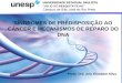 Mutações SÍNDROMES DE PREDISPOSIÇÃO AO CÂNCER E MECANISMOS DE REPARO DO DNA Profa. Dra. Ana Elizabete Silva