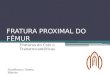 FRATURA PROXIMAL DO FÊMUR Fraturas do Colo e Transtrocantéricas Acadêmica: Taiana Ribeiro