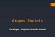 Grupos Sociais Sociologia – Professor Romildo Tavares