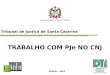 Tribunal de Justiça de Santa Catarina Agosto | 2014 TRABALHO COM PJe NO CNJ