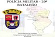 POLÍCIA MILITAR - 20º BATALHÃO Comandante da Unidade Tenente Coronel QOPM Karin Denise Krasinski