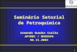 1 Seminário Setorial de Petroquímica Armando Guedes Coelho APIMEC / BOVESPA 06.11.2003