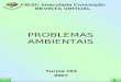 PROBLEMAS AMBIENTAIS Turma 154 2007 CIESC Imaculada Conceição REVISTA VIRTUAL SAIR