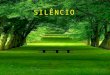 Aprende com o silêncio a ouvir os sons interiores da sua alma, a calar-se nas discussões e assim evitar tragédias e desafetos