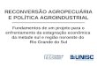 RECONVERSÃO AGROPECUÁRIA E POLÍTICA AGROINDUSTRIAL Fundamentos de um projeto para o enfrentamento da estagnação econômica da metade sul e região noroeste