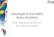 Introdução à Telemática Redes de Dados M.Sc. Engenharia de Sistemas Prof. Sérgio Campello
