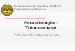 Parasitologia - Tricomoníase Professor MSc. Eduardo Arruda Escola Superior da Amazônia – ESAMAZ Curso Superior de Farmácia