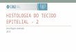 HISTOLOGIA DO TECIDO EPITELIAL - 2 Vera Regina Andrade, 2015