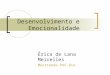 Desenvolvimento e Emocionalidade Érica de Lana Meirelles Mestranda PUC-Rio