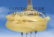 CONTAGEM DE CARBOIDRATOS. Contagem de carboidratos para diabéticos Profª Nutti. MSc Maria de Lourdes Marques Camargo