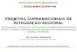 PROJETOS SUPRANACIONAIS DE INTEGRAÇÃO REGIONAL Iniciativa para a Integração da Infraestrutura Regional Sul-Americana (IIRSA) / Conselho Sul-Americano de