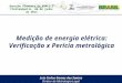 Reunião Plenária da RBMLQ-I Florianópolis, 06 de junho de 2013 Medição de energia elétrica: Verificação x Perícia metrológica Luiz Carlos Gomes dos Santos