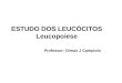 ESTUDO DOS LEUCÓCITOS Leucopoiese Professor: Dimas J Campiolo