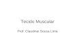 Tecido Muscular Prof. Claudinei Sousa Lima. TECIDO MUSCULAR : mesodérmicaOrigem: mesodérmica Caracterizado por apresentar células (ou fibras) alongadas