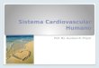 Sistema Cardiovascular Humano Prof. Ms. Gustavo B. Propst