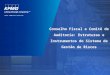 AUDIT COMMITTEE INSTITUTE Conselho Fiscal e Comitê de Auditoria: Estruturas e Instrumentos do Sistema de Gestão de Riscos