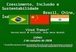 Crescimento, Inclusão e Sustentabilidade Brasil, China, Índia Vinod Thomas* Diretor-Geral de Avaliação, Grupo Banco Mundial Lisboa 2 de outubro de 2008