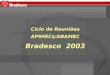 1 Ciclo de Reuniões APIMECs/ABAMEC Bradesco 2003