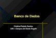 Banco de Dados Cristina Paludo Santos URI – Campus de Santo Ângelo
