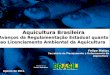 Aquicultura Brasileira Avanços da Regulamentação Estadual quanto ao Licenciamento Ambiental da Aquicultura Felipe Matias Secretário de Planejamento e Ordenamento