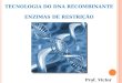 TECNOLOGIA DO DNA RECOMBINANTE ENZIMAS DE RESTRIÇÃO Prof. Victor Pessoa