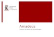 Amadeus Sistema de gestão de aprendizagem. Agenda  Apresentação  Funcionalidades e aspectos pedagógicos  Visão de futuro  Ação em Rede