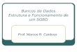 Bancos de Dados Estrutura e Funcionamento de um SGBD Prof. Marcos R. Cardoso