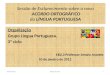 Sessão de Esclarecimento sobre o novo ACORDO ORTOGRÁFICO da LÍNGUA PORTUGUESA Organização Grupo Língua Portuguesa, 3º ciclo EB2,3 Professor Amaro Arantes