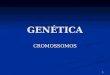 1 GENÉTICA CROMOSSOMOS. 2 3 CROMOSSOMOS Os cromossomos são estruturas filamentosas localizadas no interior do núcleo das células. Os cromossomos são