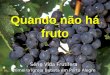 Quando não há fruto Série Vida Frutífera Primeira Igreja Batista em Porto Alegre